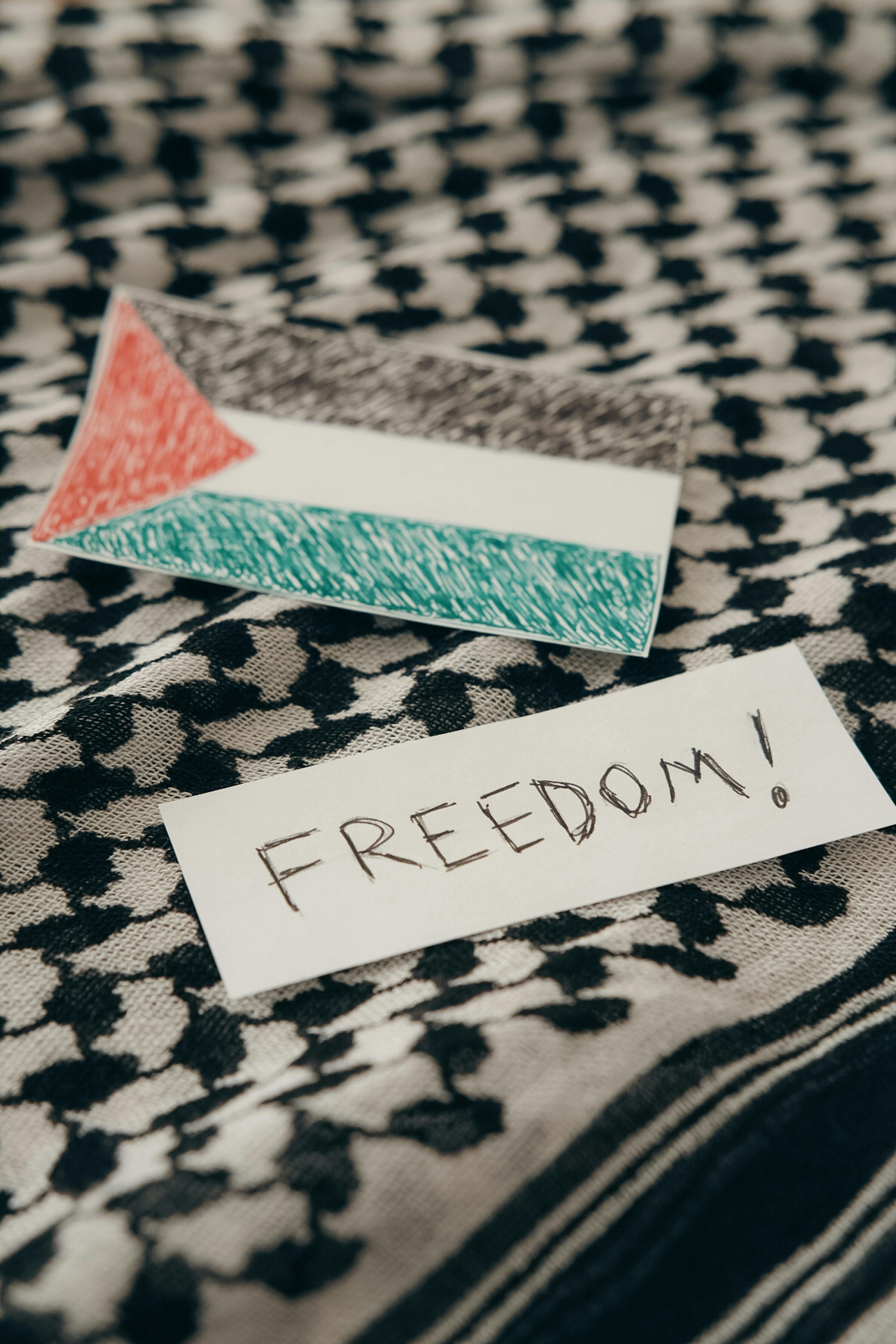 Solidarity - Try Modest Limited Immagine