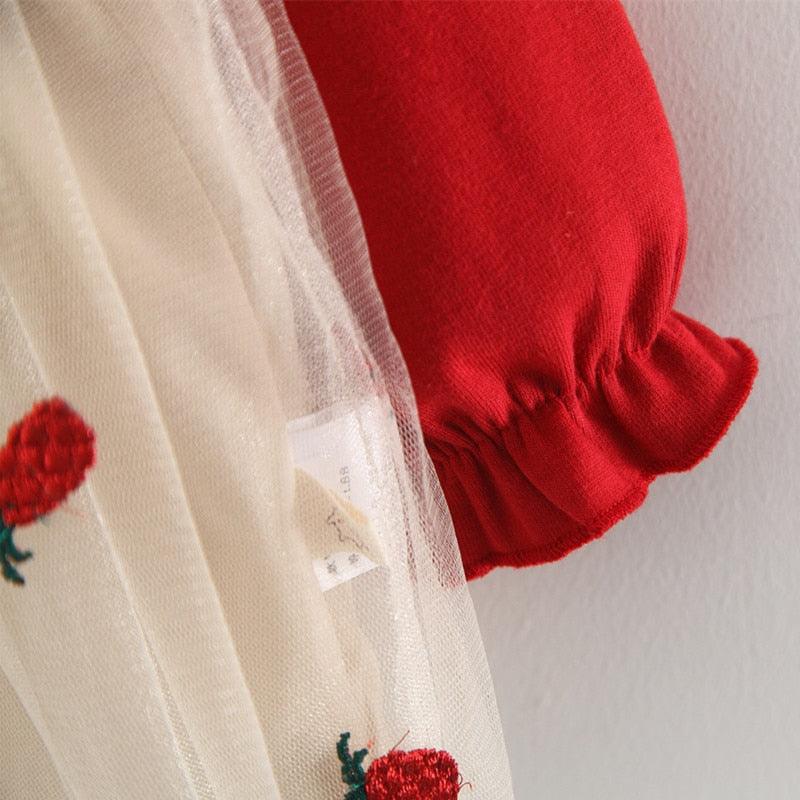 6M-3T Spring baby girl princess dress - Try Modest Limited